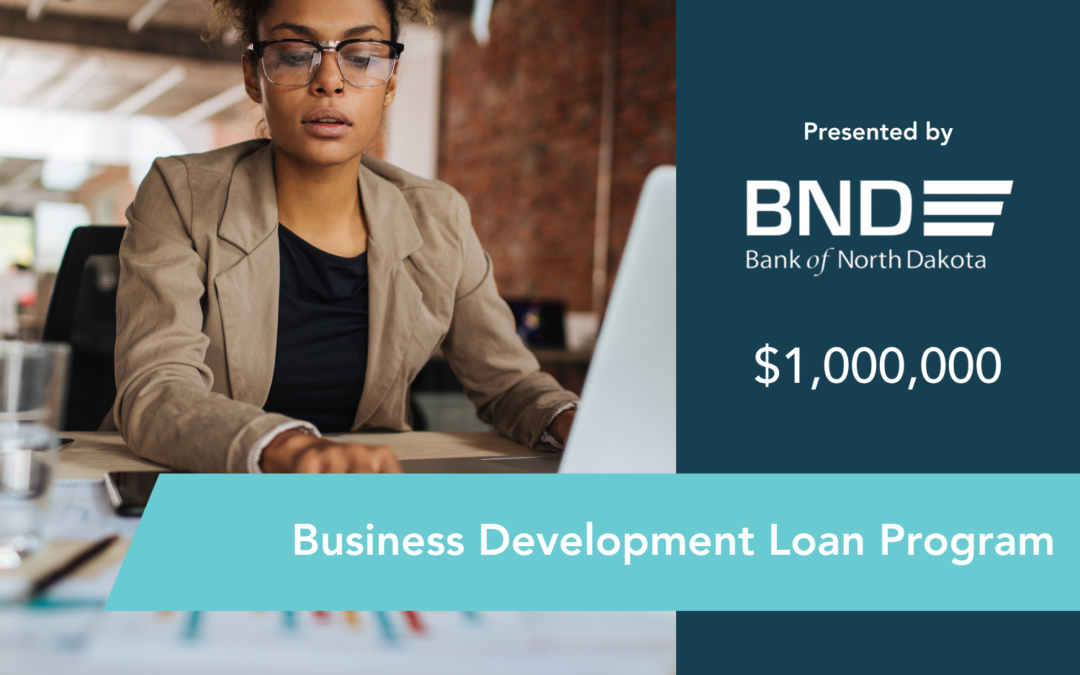 Business Development Loan Program