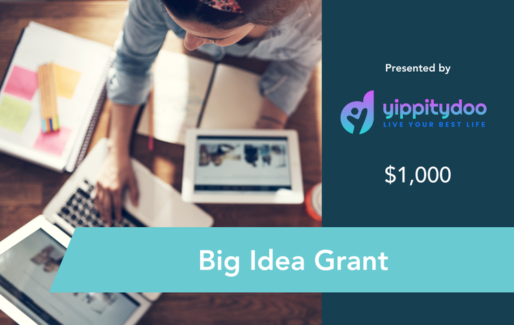 Big Idea Grant